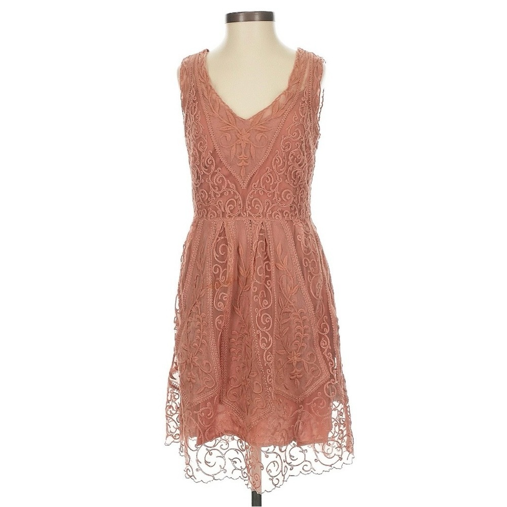 Anthropologie At Dusk Dress Sz 6 Dusty Rose Lace Embroidered Fit & Flare - Picture 5 of 14